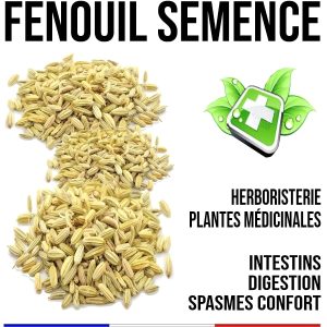 FENOUIL SEMENCE 300MG 100GEL HEP