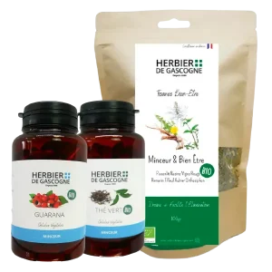 ANTI SUCRE BIO 100G HDG